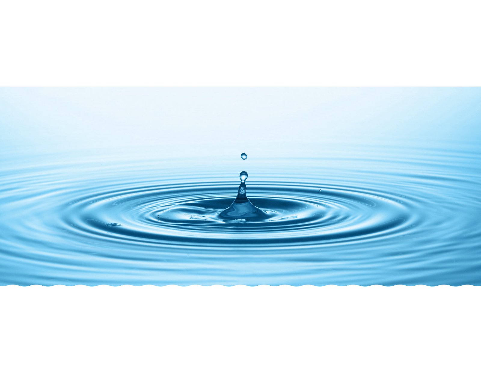 Et l&rsquo;eau là-dedans ? Contre une biologie déshydratée